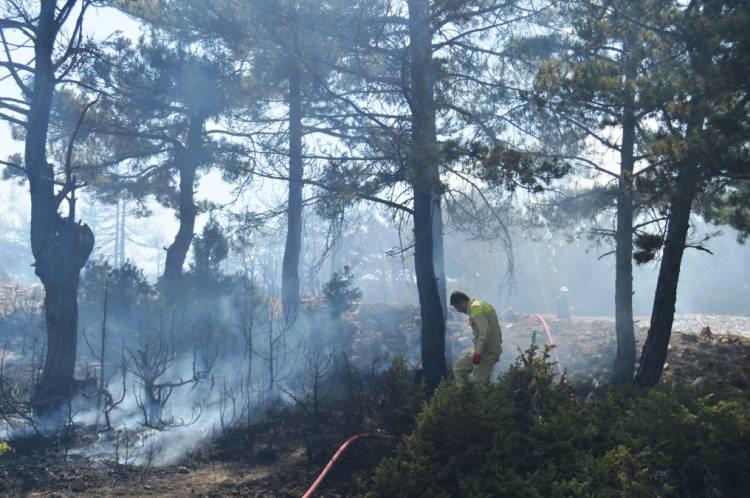<p>Havaların ısınmasıyla birlikte Türkiye yeniden orman yangınlarıyla karşı karşıya. </p>
