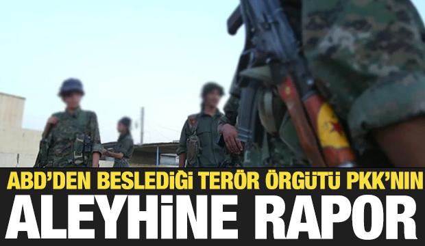 ABD'den terör örgütü PKK'nın aleyhine rapor